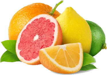 Vitamin C + E
