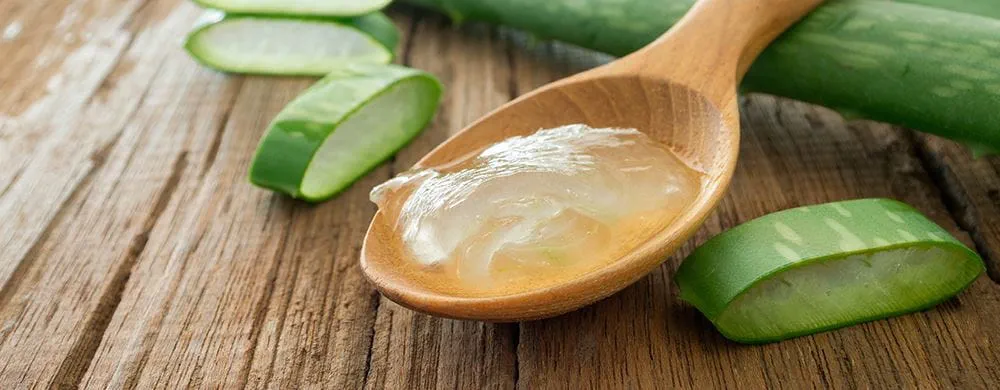 Aloe Vera TerraFreeze Banner